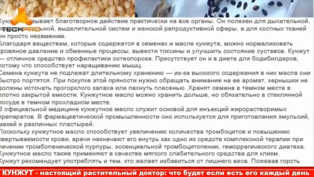 КУНЖУТ: настоящий растительный доктор: что будет если есть его каждый день… смотреть онлайн