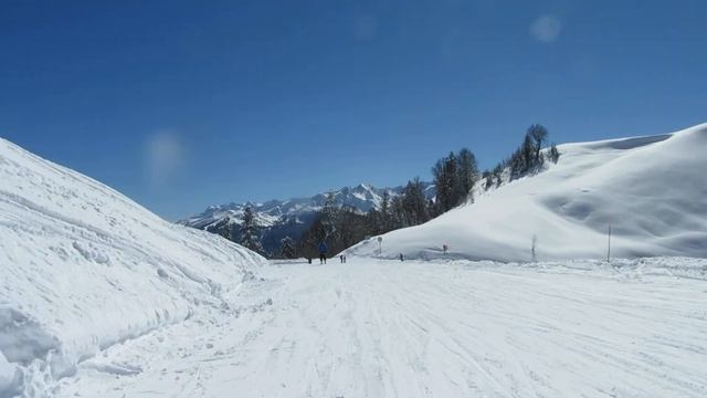 Зеленый Явор на Роза Хутор, южный склон. Целый день за рубль. смотреть онлайн