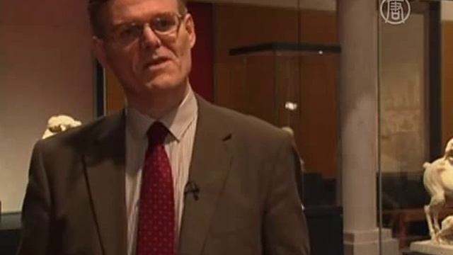 Помпеи и Геркуланум оживут на выставке в Лондоне смотреть онлайн