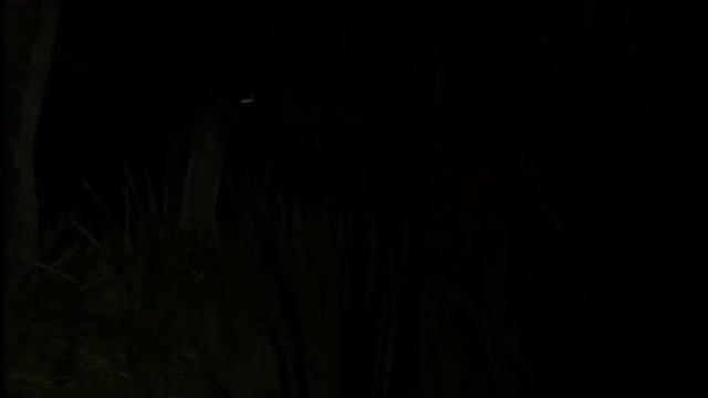 Hl2 Negative Charge Teaser смотреть онлайн