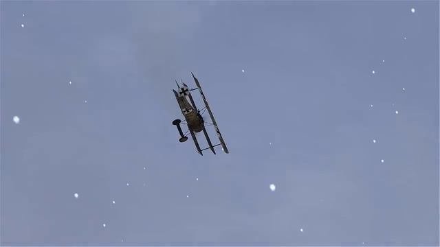 Rise of Flight: Wife Battles Aircraft Edition смотреть онлайн