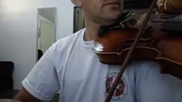 Violino Disponível P/ Venda , Atelier WF Violinos (43) 9655-5665