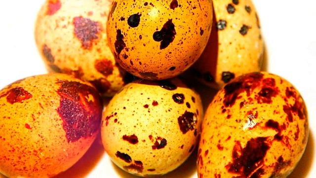 ПЕРЕПЕЛИНЫЕ ЯЙЦА ВРЕД | перепелиные яйца вред для печени, перепелиные яйца холестерин, смотреть онлайн