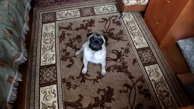 Как умер Гуф смотреть онлайн