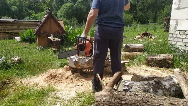 Самозаготовка пиломатериалов дуб вяз мелколистный береза смотреть онлайн