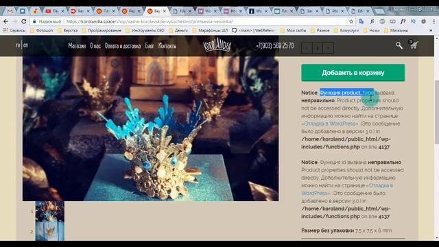 Woocomerce 3.0. Что нового и как с этим бороться? смотреть онлайн