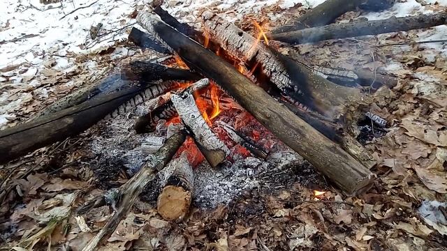 Костер в зимнем лесу смотреть онлайн