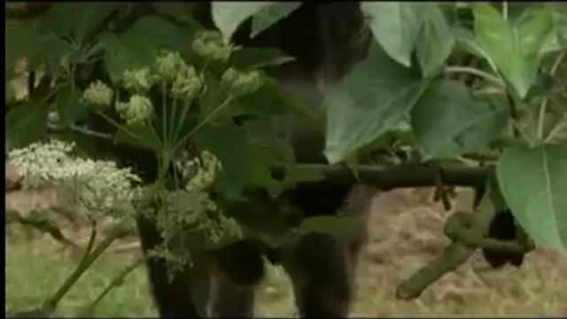 Бурлаков Сомелье: французское рандеву 10 Бретань смотреть онлайн