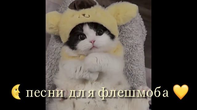 ? песни для флешмоба ? смотреть онлайн
