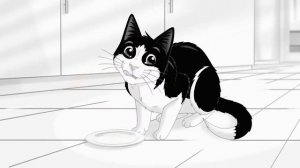 Felix sensations extras