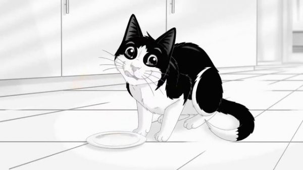 Felix sensations extras