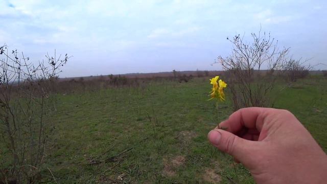 Охота на зайца с братухой! смотреть онлайн