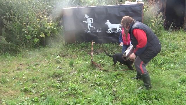 Фи зкс 93 смотреть онлайн