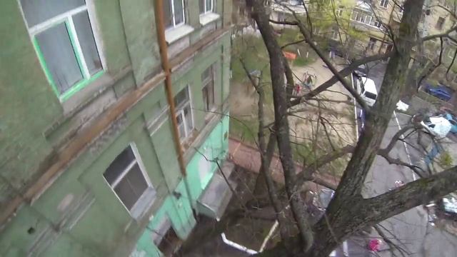 Как снять кошку с дерева смотреть онлайн