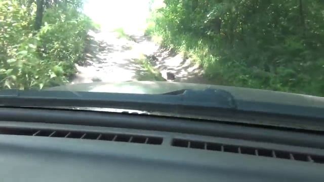 КАК РАСТЁТ КОЛБАСА, НЕ МНОГИЕ ВИДЕЛИ ЭТО ЧУДО!!! смотреть онлайн