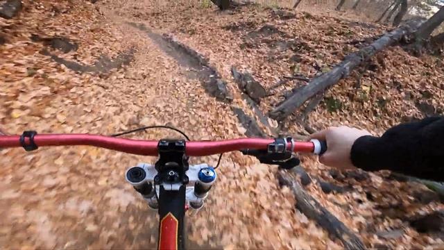 Осень, тесты. смотреть онлайн