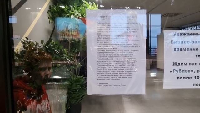 Летим в Сочи аэропорт Шереметьево Космо цены НА ВСЕ, перелет 4 часа! смотреть онлайн