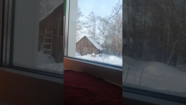 Я заболел. смотреть онлайн