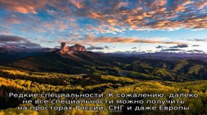 Образование в Северной Америке