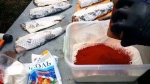 БАЛЫК ИЗ САЗАНА ВЯЛЕНАЯ РЫБА РЕЦЕПТЫ СЮФ КРАСНОДАРСКИЙ