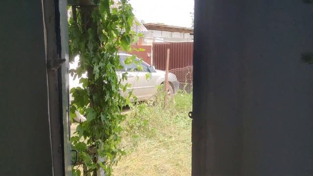 Купили участок с домом около реки в Майкопе. смотреть онлайн