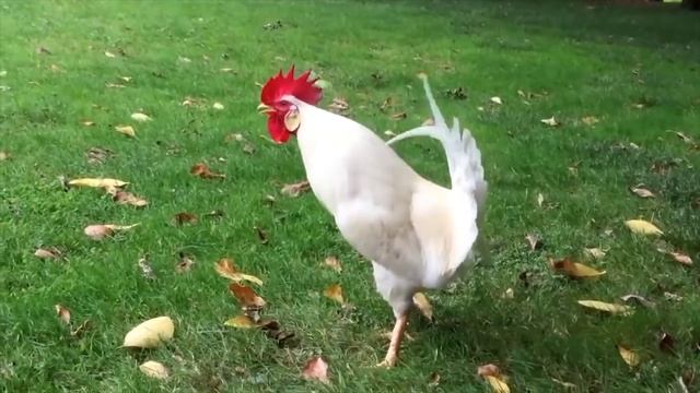 3 КРАСКИ ЧЕЛЛЕНДЖ "НОВОГОДНИЙ" 2019 // ДЕВОЧКИ ПРОТИВ МАЛЬЧИКОВ смотреть онлайн