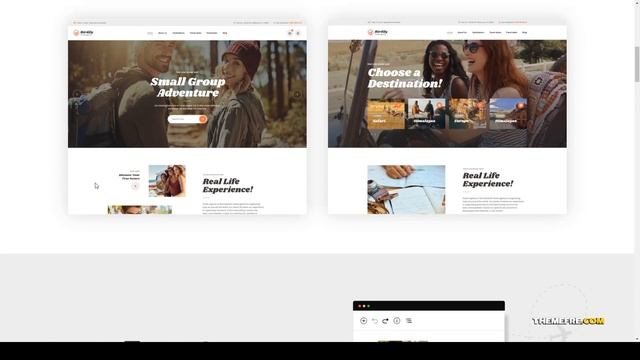 Birdily Travel Agency and Tour Booking WordPress Theme booking holiday Website Builder смотреть онлайн