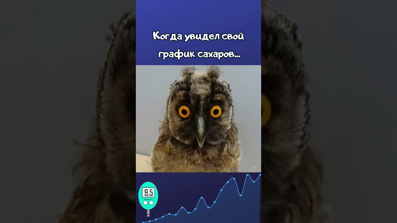 Когда увидел свой график сахаров... смотреть онлайн