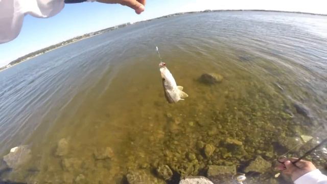 Hernan Apolinar смотреть онлайн