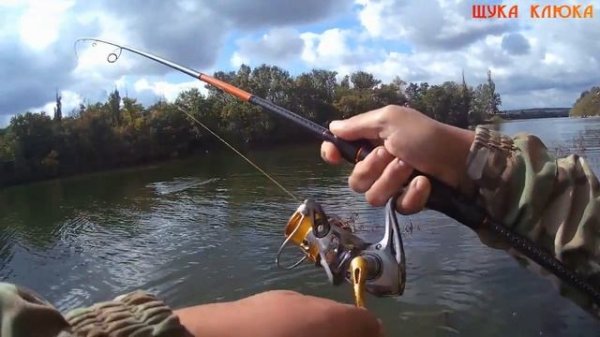 ЩУКА ОЦЕНИЛА! Выручил воблер Jackall Rerange 110SP. Трудовая рыбалка на Исаково в сентябре.