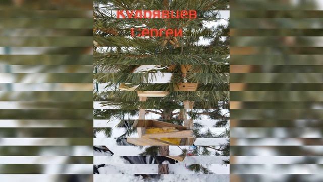 Экологическая акция "Кормушка для птиц", Детский сад №269 смотреть онлайн