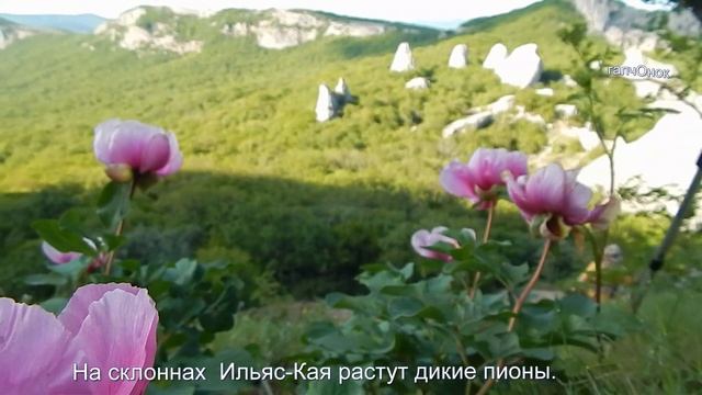 Самое загадочное место на территории Крыма Храм Солнца смотреть онлайн