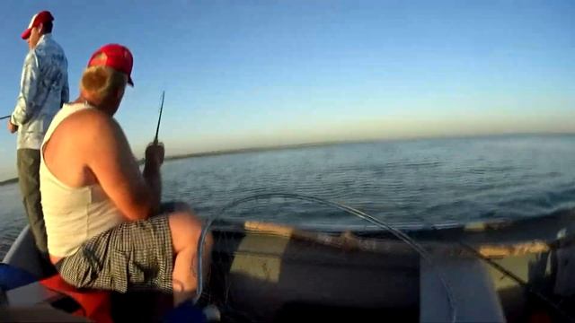 Лиман Горький щука летом в жару краснодарский край июль 2020 год смотреть онлайн