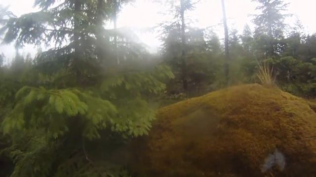 Operation Tango 2012 Laxå GS смотреть онлайн