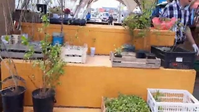 Крестьянский рынок #якутск  Уличные ряды 31.05.2021 г.