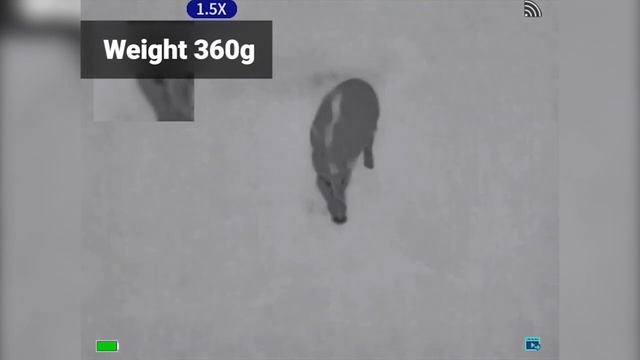 Тепловизионный монокуляр Guide TD210 256х192, ø10мм, WiFi смотреть онлайн