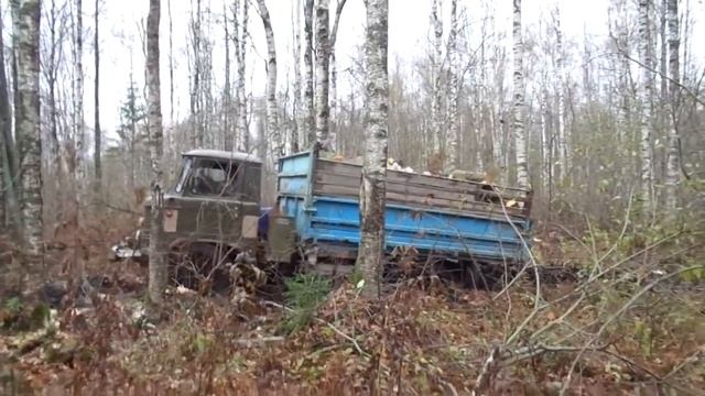 Газ 53 и Газ 66 в лесу