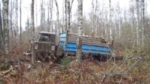 Газ 53 и Газ 66 в лесу