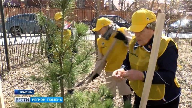 В тюменском парке им. Гагарина высадили краснокнижные деревья смотреть онлайн