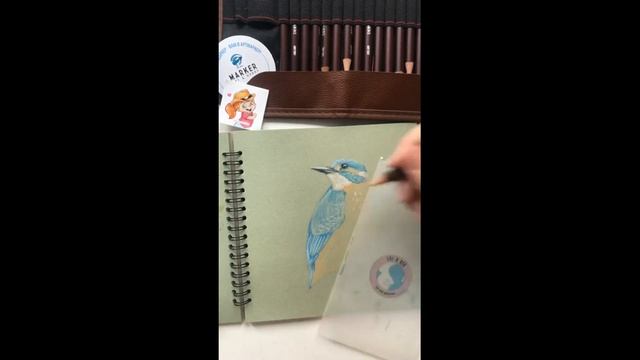 Рисуем птичку-зимородка цветными карандашами Derwent | Уроки рисования от ArtMarkers смотреть онлайн