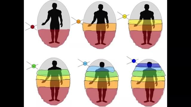 «4 Касты и 7 Уровней сознания». Определяем свою Касту. [Вебинар]. Евгений Джим - Чакры ТВ смотреть онлайн