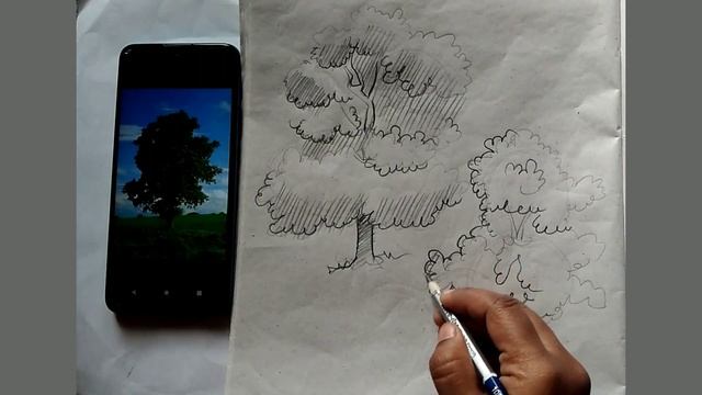 how to sketch trees /daily practice/Day- 31 смотреть онлайн