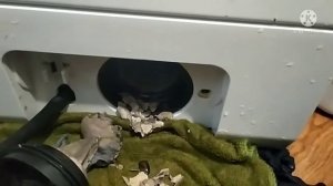 Не откачивает воду насос стиральной машинки LG