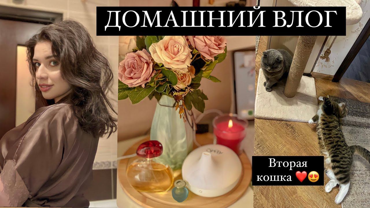 Алиса уехала. Мамские переживания. "Одинокая" кошатница. Приучаю к экономии. Домашний влог смотреть онлайн