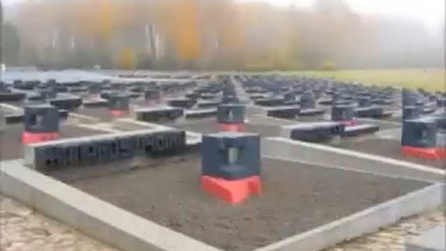 Беларусь ты моя белая смотреть онлайн