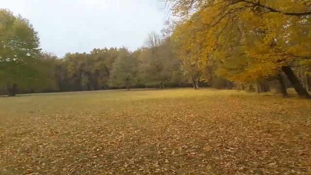 Софиевский парк Умань Украина смотреть онлайн