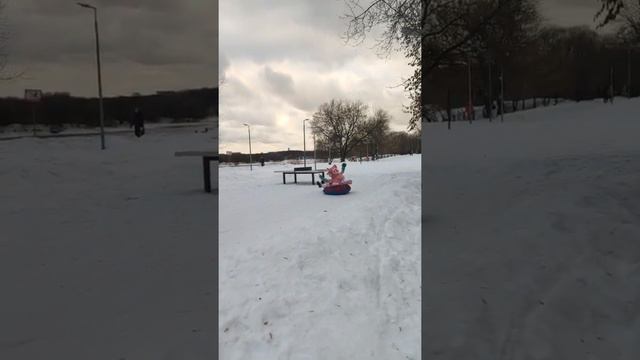 ? Полет енота #shorts смотреть онлайн