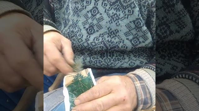 Часть 1. Укоренение черенков голубой ели. смотреть онлайн