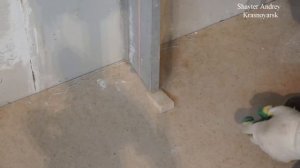 Штукатурка!  "РАСТВОРНЫЕ" маяки! Шайтер Андрей.