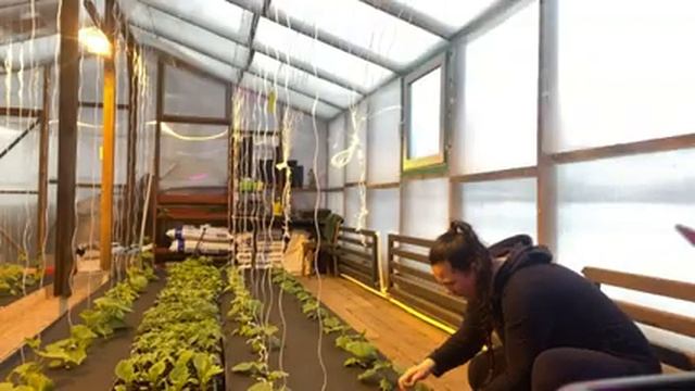 Масленичная неделя.Борьба с вредителями в теплице. Мой новый рабочий угол. С 23 мужчины!!! смотреть онлайн